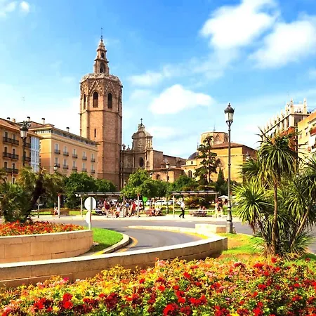 My - Plaza De La Reina